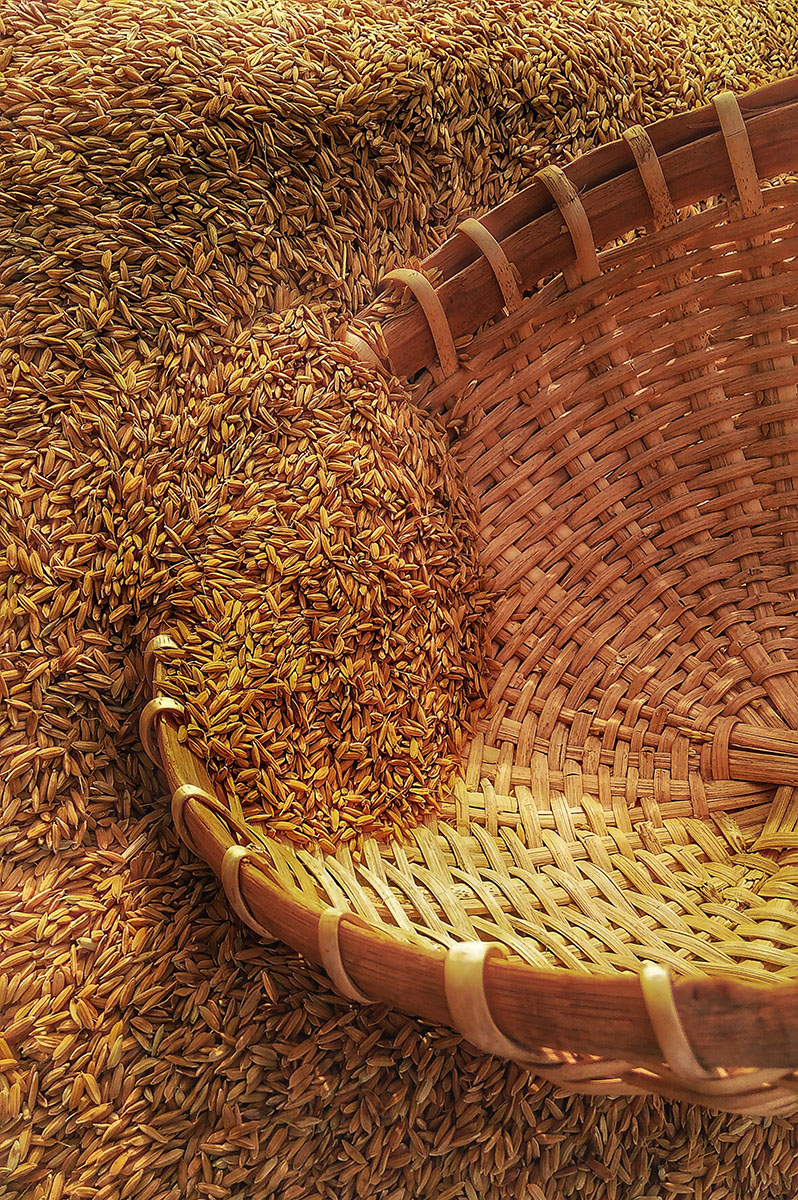 What's Proper About Ingredient Suppliers From China